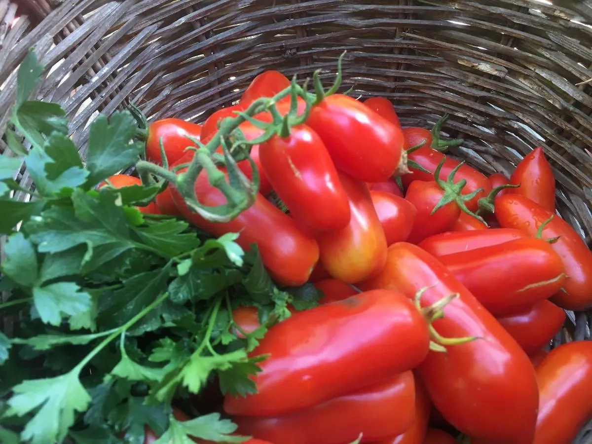 Séjour à la ferme Agriturismo La Casa Delle Fate Loiri Porto San Paolo